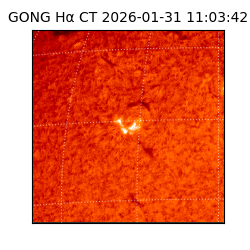 gong - 2026-01-31T11:03:42