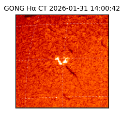 gong - 2026-01-31T14:00:42