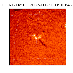 gong - 2026-01-31T16:00:42