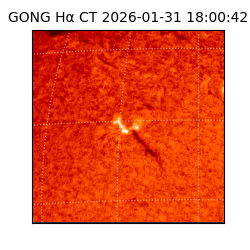 gong - 2026-01-31T18:00:42