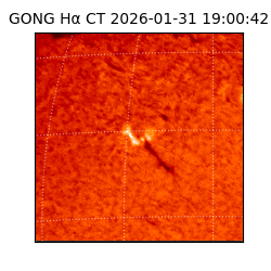 gong - 2026-01-31T19:00:42