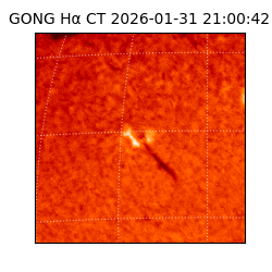 gong - 2026-01-31T21:00:42