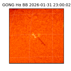 gong - 2026-01-31T23:00:02