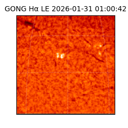 gong - 2026-01-31T01:00:42