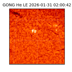 gong - 2026-01-31T02:00:42