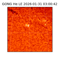 gong - 2026-01-31T03:00:42