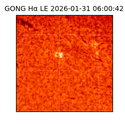 gong - 2026-01-31T06:00:42