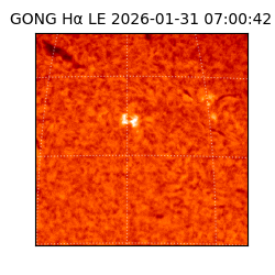 gong - 2026-01-31T07:00:42