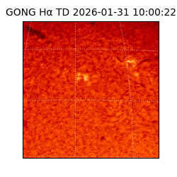 gong - 2026-01-31T10:00:22