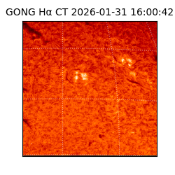 gong - 2026-01-31T16:00:42