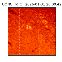 gong - 2026-01-31T20:00:42