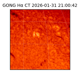 gong - 2026-01-31T21:00:42