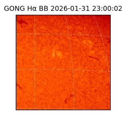 gong - 2026-01-31T23:00:02