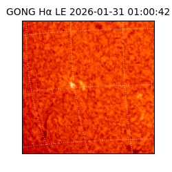 gong - 2026-01-31T01:00:42