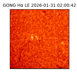 gong - 2026-01-31T02:00:42