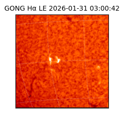 gong - 2026-01-31T03:00:42