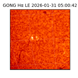 gong - 2026-01-31T05:00:42