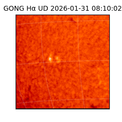 gong - 2026-01-31T08:10:02