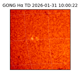 gong - 2026-01-31T10:00:22