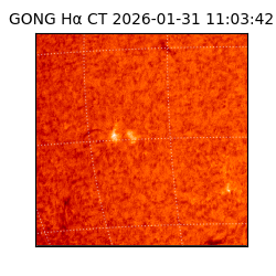 gong - 2026-01-31T11:03:42