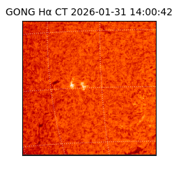 gong - 2026-01-31T14:00:42