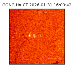 gong - 2026-01-31T16:00:42