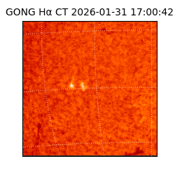 gong - 2026-01-31T17:00:42