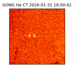 gong - 2026-01-31T18:00:42