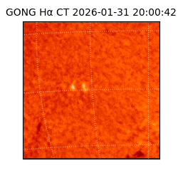 gong - 2026-01-31T20:00:42