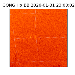 gong - 2026-01-31T23:00:02