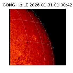 gong - 2026-01-31T01:00:42