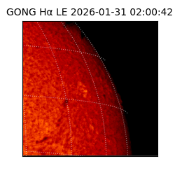 gong - 2026-01-31T02:00:42
