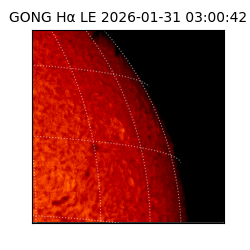 gong - 2026-01-31T03:00:42