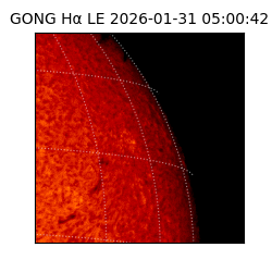 gong - 2026-01-31T05:00:42