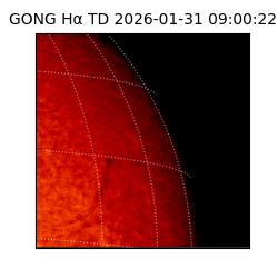gong - 2026-01-31T09:00:22