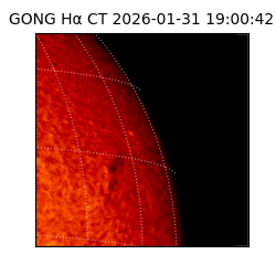 gong - 2026-01-31T19:00:42