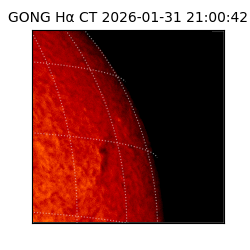 gong - 2026-01-31T21:00:42