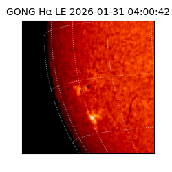 gong - 2026-01-31T04:00:42