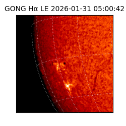 gong - 2026-01-31T05:00:42