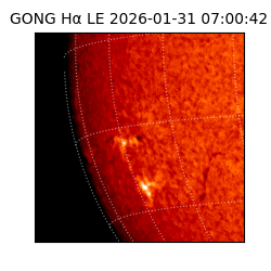gong - 2026-01-31T07:00:42