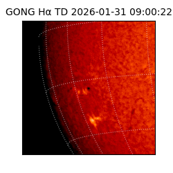 gong - 2026-01-31T09:00:22