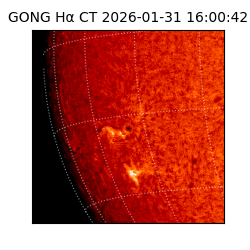 gong - 2026-01-31T16:00:42