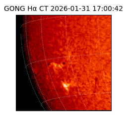 gong - 2026-01-31T17:00:42