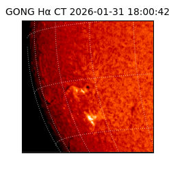 gong - 2026-01-31T18:00:42