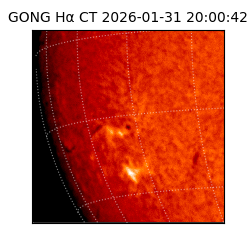 gong - 2026-01-31T20:00:42