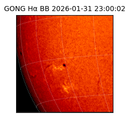 gong - 2026-01-31T23:00:02