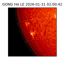 gong - 2026-01-31T02:00:42