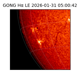 gong - 2026-01-31T05:00:42