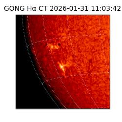 gong - 2026-01-31T11:03:42