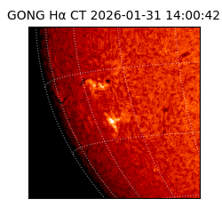 gong - 2026-01-31T14:00:42